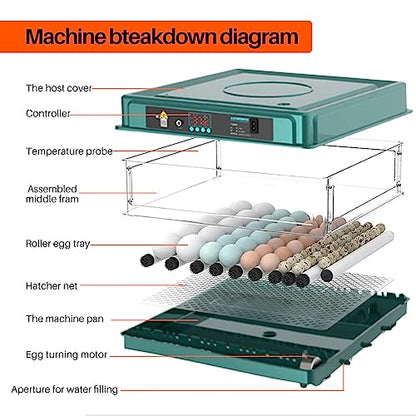 Automatic Egg Incubator 12-38 Egg Digital Poultry Hatcher Machine ith Automatic Egg Turning, Temperature & Humidity Control, Efficient LED Lighting for Chicken Geese Ducks Pigeons Quails (12 Eggs) - style: 12 Eggs