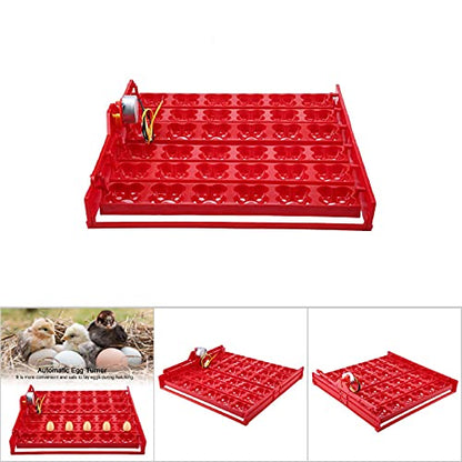 Egg Turner, Chicken Incubators, Egg Hatcher Tray, Laboratory Goose for Duck Peacock Chicken