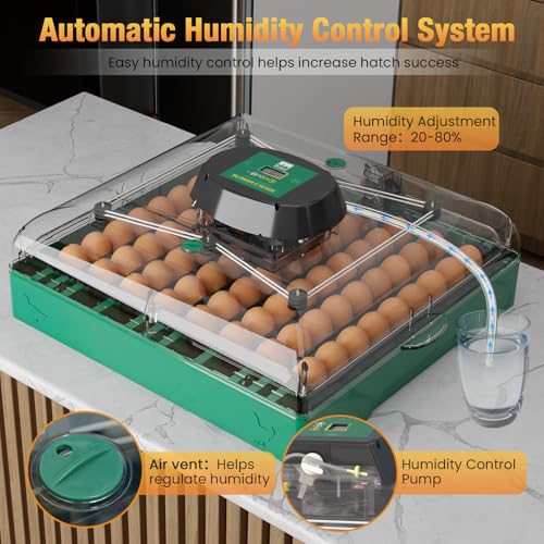 Egg Incubator for Chicken Eggs, Max 72 Egg Incubator with Auto Turner