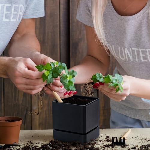 D'vine Dev Plastic Herb Planter Pot, 4 in, Black, 76-Y-B1-1 - color: Black, size: 4 Inch x 4.5 Inch
