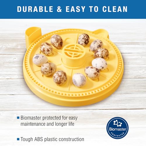 Brinsea Egg Quadrant Insert for Mini Advance Incubators Fits 12 Eggs, Small - size: Fits 12 Eggs, style: Mini Advance