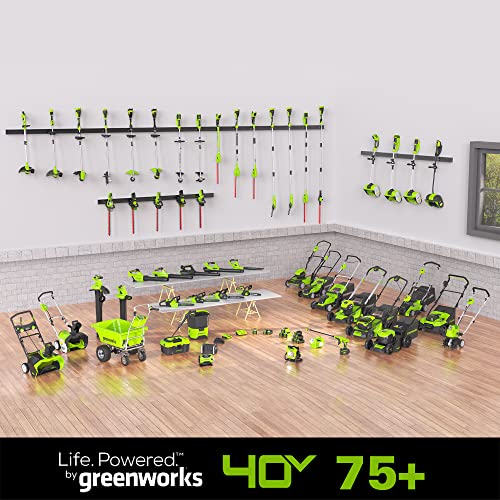 Greenworks 40V 12 in Cordless String Trimmer, 2.0 Ah Battery and Charger - size: 12" (Battery Included), style: String Trimmer