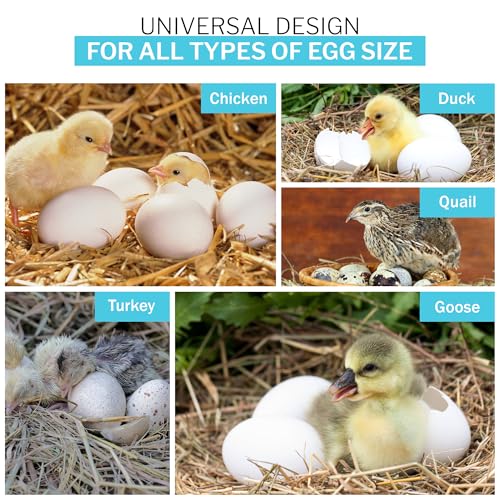 IncuTurn™ Automatic Egg Turner for HovaBator Incubators, Egg Turner Tray