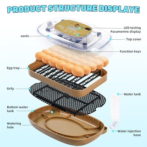 24 Eggs Incubator with Auto Water Refill & Humidity Control, Automatic Egg Turner, Built-in LED Candler, Species Pre-Programs for Chicken Duck Quail Turkey — Beginner Friendly