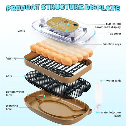 24 Eggs Incubator with Auto Water Refill & Humidity Control, Automatic Egg Turner, Built-in LED Candler, Species Pre-Programs for Chicken Duck Quail Turkey — Beginner Friendly