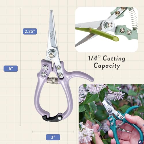 Modern Sprout Hydroponic Grow + Harvest Bundle - color: Lavender Garden Jar + Lavender Shears