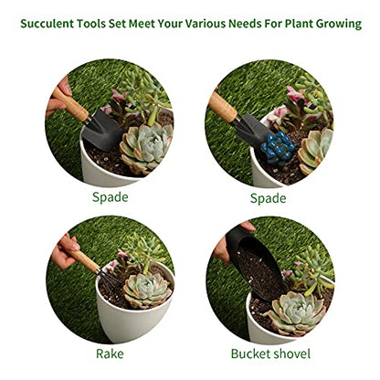 5Pcs Succulent Tool Set, Mini Garden Tools for Plant Care (No Flowerpot) - style: Classic Garden Tools