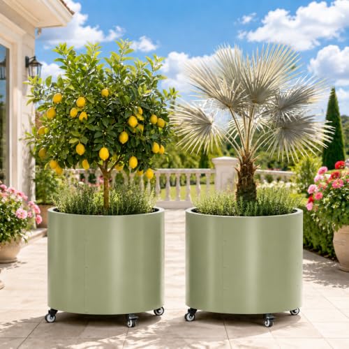 2 Pack Rolling Planter for Tree,30 Gallon Large Metal Tree Pots for Outdoor - color: Green