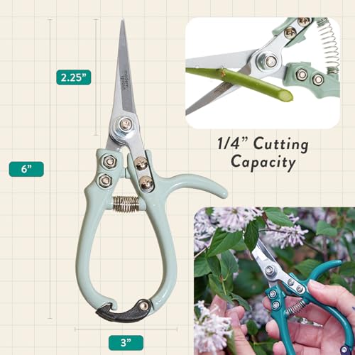 Modern Sprout Hydroponic Grow + Harvest Bundle - color: Basil Garden Jar + Sage Shears