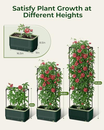 Raised Garden Bed Planter Box with Trellis, Self Watering Tomato Planters for Climbing Plants, Tomato Cage Trellis for Vegetables & Vine Flowers Indoor Outdoor Patio (Dark Green, 51.2In(2PCS)) - size: 51.2In(2PCS)