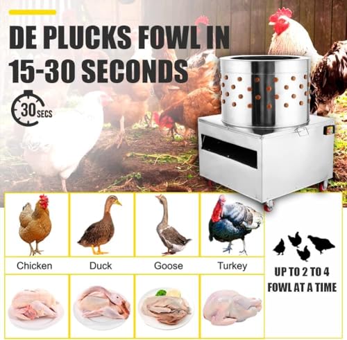 31.4" Stainless Steel Chicken Plucker Machine, 3000W 2HP Poultry De-Feather Remover, 245RPM Turkey Duck Fowl Plucker with Rubber Fingers for Home & Commercial Use - size: 31.4"-3000W