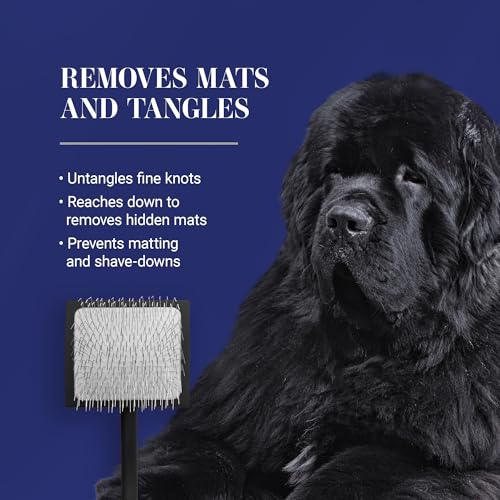 Chris Christensen Big K Dog Slicker Brush for Dogs (Goldendoodles, Labradoodles, Poodles), Groom Like a Professional, Fluff Detangle Style, Saves Time Energy, Black, Medium - color: Black, size: Medium