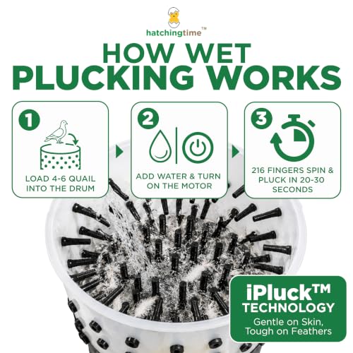 Hatching Time Quail Plucker Machine, 16.2 in ABS Drum, 4-6 Quails - size: 4-6 Quail
