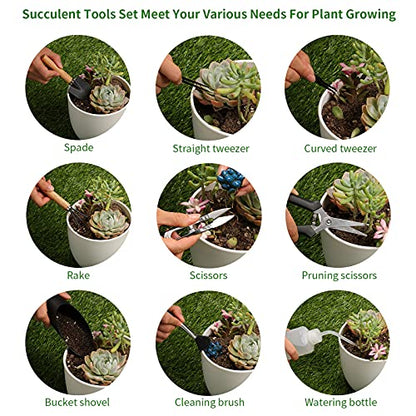 11Pcs Succulent Tools, Mini Garden Tools, Plant Repotting Set(No Flowerpot) - style: Abundant Garden Tools