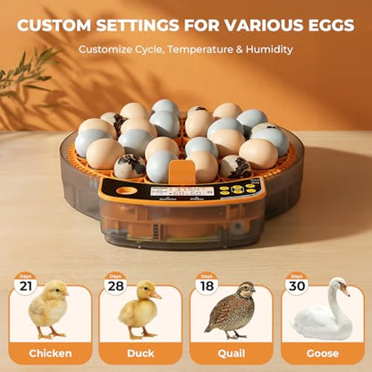 24 Egg Incubator - Smart Incubators for Hatching Chicken Eggs with Temperature & Humidity Control, Egg Candler, Auto Egg Turner, and Abnormal Alarm - size: 24 Eggs