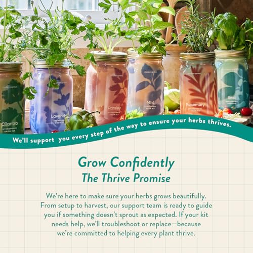Modern Sprout Hydroponic Grow + Harvest Bundle - color: Basil Garden Jar + Sage Shears