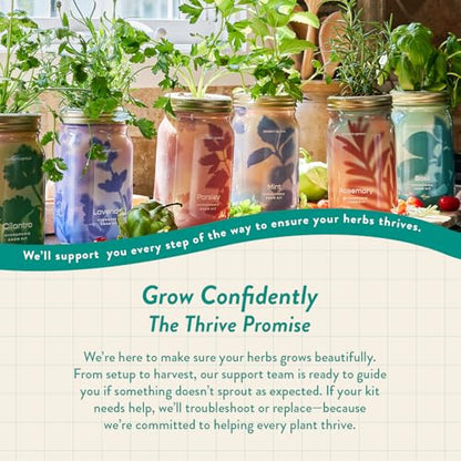Modern Sprout Mason Garden Jar - Self-Watering Hydroponics Kit - Basil - color: Basil, size: Garden Jars