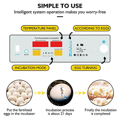 Egg Incubator,Egg Incubator with Automatic Egg Turning and Humidity Control,Poultry Hatcher for Chickens Ducks Birds (56 Eggs) - size: 56 Eggs
