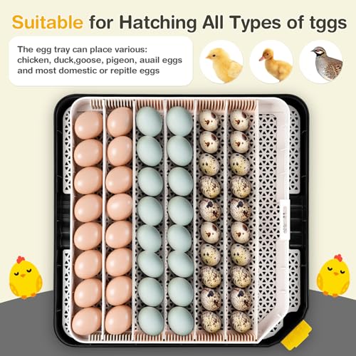 Sailnovo 48 Egg Incubator for Hatching Eggs,Ideal for Farm/School/Lab,Grey - color: Grey