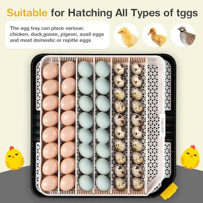 Sailnovo 48 Egg Incubator for Hatching Eggs,Ideal for Farm/School/Lab,Grey - color: Grey