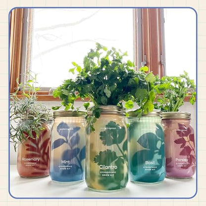 Modern Sprout Mason Garden Jar - Self-Watering Hydroponics Kit - Lavender - color: Lavender, size: Garden Jars