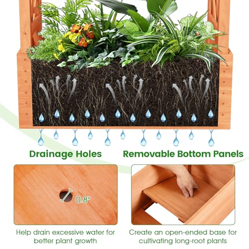LDAILY Raised Garden Bed with Trellis, Above Ground Garden Bed with Hanging Roof, Side Trellis, & Drainage Holes, Planter Box for Outdoor Climbing Plants Vines Flowers (1, 31" L x 14" W x 60" H) - size: 31" L x 14" W x 60" H