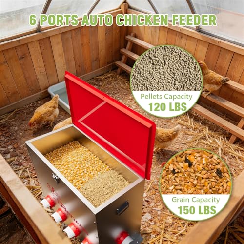 Metal Chicken Feeder, 150 LBs, 10 Ports - size: 150 LB-10 Ports