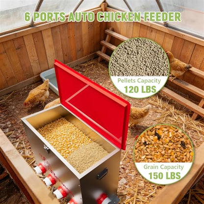 Metal Chicken Feeder, 150 LBs, 10 Ports - size: 150 LB-10 Ports