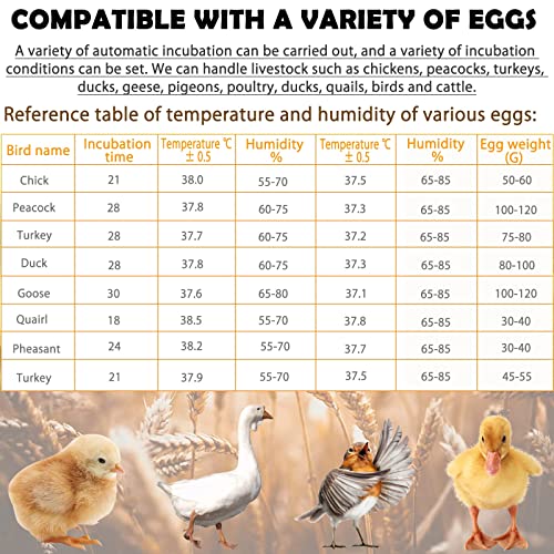 Upgraded Auto Digital Incubator, 12 Eggs Natural Incubation Simulator, Auto Egg Rolling and Water Fulfilling, 24H Temperature Control, with Egg Flashlight, Easy Newcomer Poultry Incubation