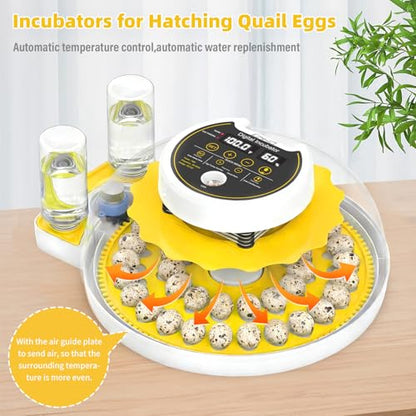 Quail Egg Incubator for Hatching 40 Quail Eggs with Automatic Turner - color: Yellow