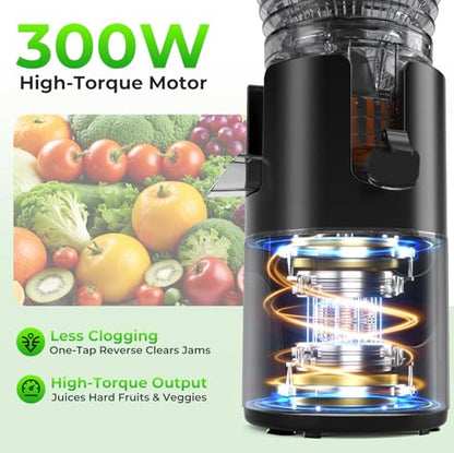 Godspeeds Juicer Machines, 6" Large Feed Chute Cold Press Juicer