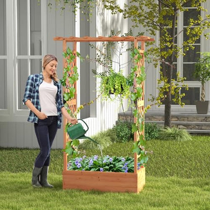 LDAILY Raised Garden Bed with Trellis, Above Ground Garden Bed with Hanging Roof, Side Trellis, & 4 Drainage Holes, Planter Box for Outdoor Climbing Plants Vines Flowers (1, 43.5"L x 17.5"W x 72"H) - size: 43.5" L x 17.5" W x 72" H