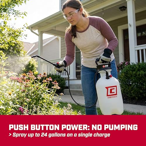 CHAPIN 28324 2-Gallon Battery Powered Sprayer for Lawn & Garden