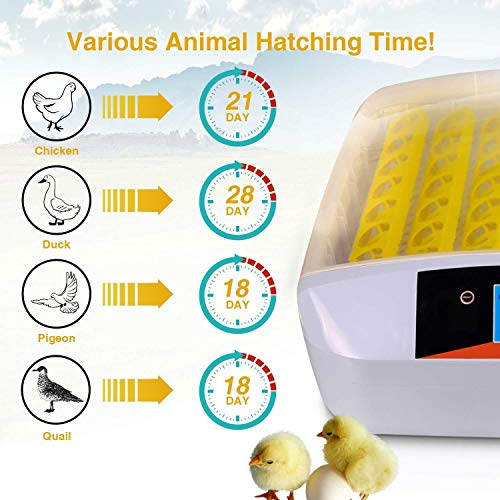 TECHTONGDA Digital Egg Incubator 56Eggs Automatic Poultry Hatcher with Egg Turning and Humidity Control 110V