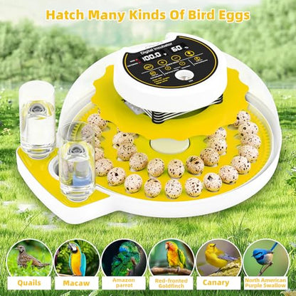 40 Quail Egg Incubator with Automatic Egg Turning Humidity Control Eggs - color: Yellow