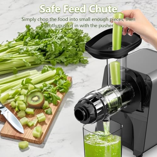 Masticating Juicer Machine 250W, Slow Cold Press High Yield with Grinder - color: Silver