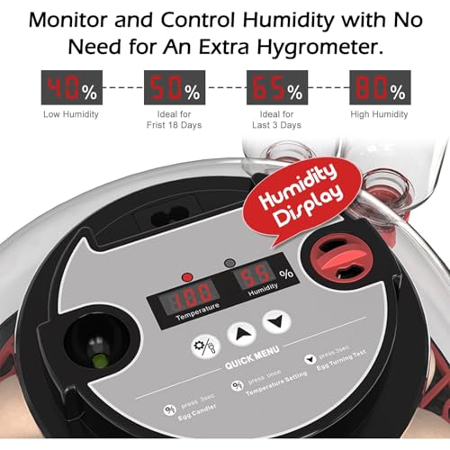 Incubators for Hatching Eggs Automatic Egg Incubator with Temperature Control Humidity Display 12 Egg Capacity for Chicken Duck Goose Eggs Digital Display Auto Turner 360° View - size: 24-quail eggs
