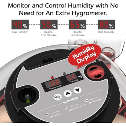 Incubators for Hatching Eggs Automatic Egg Incubator with Temperature Control Humidity Display 12 Egg Capacity for Chicken Duck Goose Eggs Digital Display Auto Turner 360° View - size: 24-quail eggs