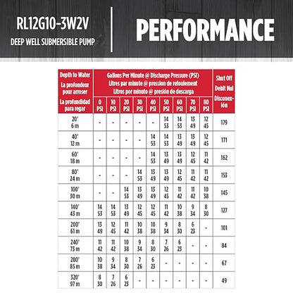 Red Lion RL12G10-3W2V Submersible Well Pump, 1 HP, 3-Wire, 230V, 12 GPM - style: 1-HP