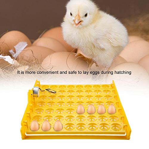 Pssopp Digital Egg Incubator, Automatic Turning Temperature Control Hatching Machine for Home Farm Yellow ABS Plastic 56 Egg Capacity 43 x 41.5 x 4.6 cm