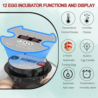 12 Egg Incubator with Auto Turner, Built-in Candler & Humidity Display - size: 12 Egg