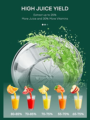 HOUSNAT Juicer Machines for Whole Fruit and Vegetables, 3 Speed Setting - color: Silver