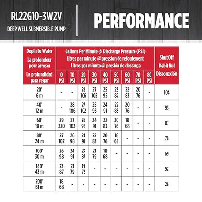 Red Lion RL22G10-3W2V Submersible Well Pump, 1 HP, 3-Wire, 230V, 22 GPM - style: 1 HP, 22 GPM