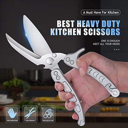 DRAGON RIOT Poultry Shears, Stainless Steel, Silver - color: Silver