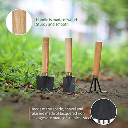 5 Pcs Succulent Tools, Mini Garden Tools, Small Indoor Plant Repotting Set - style: Luxury Garden Tools