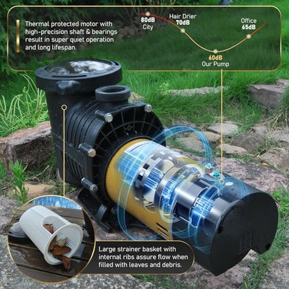 115Vac 1.5HP Two-Speed Energy Efficient Self-Priming Pool Pump - color: Dark Gold