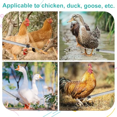 Chicken Catcher, Adjustable from 29" to 74" Chicken Net,Chicken Leg Hook