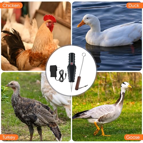 Electric Handheld Chicken Plucker and Stainless Steel Lung Scraper