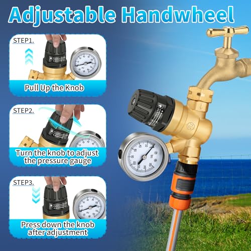 Boltigen RV Water Pressure Regulator with Gauge, Adjustable 3/4" GHT