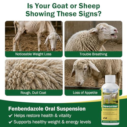 Dewormer for Goats and Sheep with Fenbendazole, Liquid Dewormer